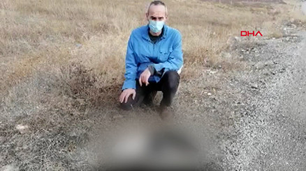 Çorumda patileri kesilmiş kedi bulundu