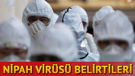Nipah Virüsü nedir Solunum yolu enfeksiyonuna neden oluyor İşte Nipah virüsü(NİV) belirtileri ve tedavisiyle ilgili bilgiler