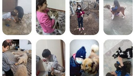 Sokak hayvanlarına şiddete ilkokul öğrencileri hayır dedi
