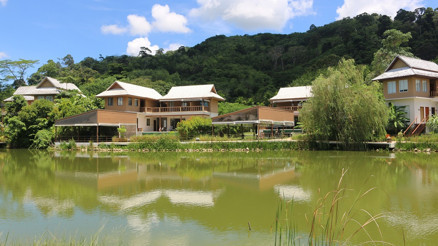 Hayatı dönüştüren 12 günlük detox