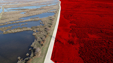 Karadenizdeki tehlike... Prof.Dr. Yusuf Demir: Geri dönüşsüz bir noktaya gidebiliriz