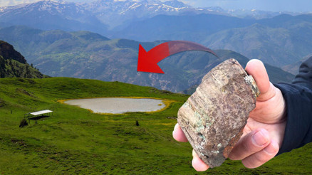 Gümüşhanede 160 milyon yıllık ağaç fosillerinde yeni türler bulundu Gümüşhanede 160 milyon yıllık ağaç fosillerinde yeni türler bulundu