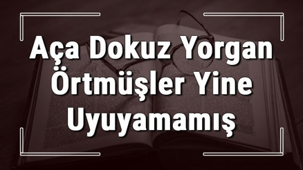 Aça Dokuz Yorgan Örtmüşler Yine Uyuyamamış atasözünün anlamı ve örnek cümle içinde kullanımı (TDK)