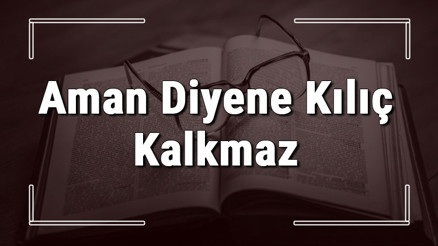 Aman Diyene Kılıç Kalkmaz atasözünün anlamı ve örnek cümle içinde kullanımı (TDK)