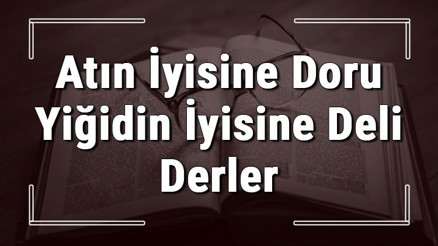 Atın İyisine Doru Yiğidin İyisine Deli Derler atasözünün anlamı ve örnek cümle içinde kullanımı (TDK)
