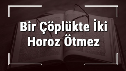 Bir Çöplükte İki Horoz Ötmez atasözünün anlamı ve örnek cümle içinde kullanımı (TDK)