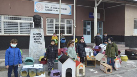 İlkokul öğrencileri sokak kedileri için 60 yuva yaptı