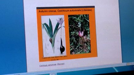 İbn-i Sinanın ilacı Kovid-19a umut oldu İbn-i Sinanın ilacı Kovid-19a umut oldu