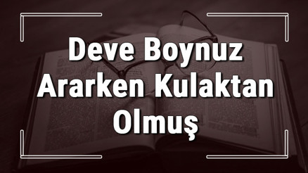Deve Boynuz Ararken Kulaktan Olmuş atasözünün anlamı ve örnek cümle içinde kullanımı (TDK)