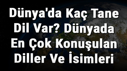 Dünyada Kaç Tane Dil Var Dünyada En Çok Konuşulan Diller Ve İsimleri Dünyada Kaç Tane Dil Var Dünyada En Çok Konuşulan Diller Ve İsimleri