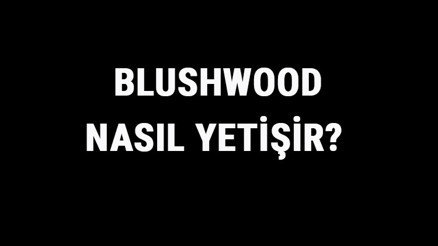 Blushwood Nasıl Yetişir Blushwood Türkiyede En Çok Ve En İyi Nerede Yetişir Ve Nasıl Yetiştirilir