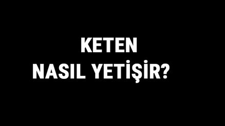 Keten Nasıl Yetişir Keten Türkiyede En Çok Ve En İyi Nerede Yetişir Ve Nasıl Yetiştirilir