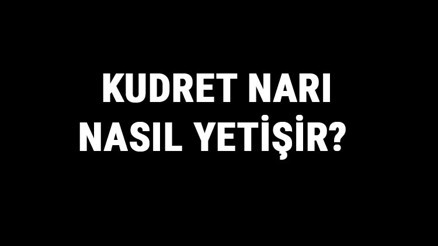 Kudret Narı Nasıl Yetişir Kudret Narı Türkiyede En Çok Ve En İyi Nerede Yetişir Ve Nasıl Yetiştirilir