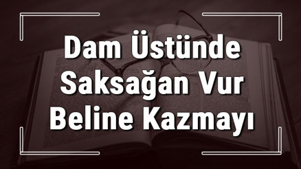 Dam Üstünde Saksağan Vur Beline Kazmayı atasözünün anlamı ve örnek cümle içinde kullanımı (TDK)