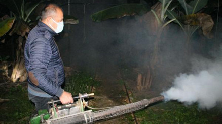 Manavgatta muz seralarında don nöbeti