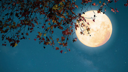 Bu dolunay bizi çok çalıştıracak