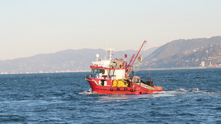 Hamsinin fiyat yolculuğu Hamsinin fiyat yolculuğu