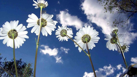 Cemre ne zaman düşecek, düştü mü İşte 2021 cemre tarihleri