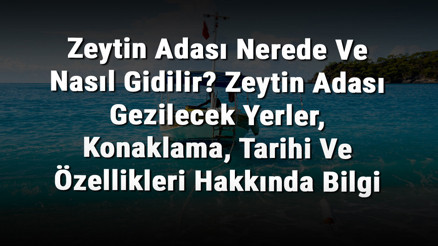 Zeytin Adası Nerede Ve Nasıl Gidilir Zeytin Adası Gezilecek Yerler, Konaklama, Tarihi Ve Özellikleri Hakkında Bilgi