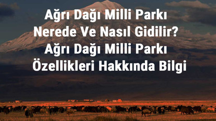 Ağrı Dağı Milli Parkı Nerede Ve Nasıl Gidilir Ağrı Dağı Milli Parkı Konaklama, Kamp, Giriş Ücreti Ve Özellikleri Hakkında Bilgi