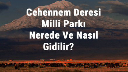 Cehennem Deresi Milli Parkı Nerede Ve Nasıl Gidilir Cehennem Deresi Milli Parkı Konaklama, Kamp, Giriş Ücreti Ve Özellikleri Hakkında Bilgi Cehennem Deresi Milli Parkı Nerede Ve Nasıl Gidilir Cehennem Deresi Milli Parkı Konaklama, Kamp, Giriş Ücreti Ve Özellikleri Hakkında Bilgi