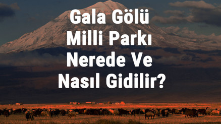 Gala Gölü Milli Parkı Nerede Ve Nasıl Gidilir Gala Gölü Milli Parkı Konaklama, Kamp, Giriş Ücreti Ve Özellikleri Hakkında Bilgi Gala Gölü Milli Parkı Nerede Ve Nasıl Gidilir Gala Gölü Milli Parkı Konaklama, Kamp, Giriş Ücreti Ve Özellikleri Hakkında Bilgi