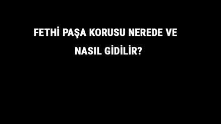 Fethi Paşa Korusu Nerede Ve Nasıl Gidilir Fethi Paşa Korusu Tarihi, Giriş Ve Kahvaltı Ücreti Hakkında Bilgi