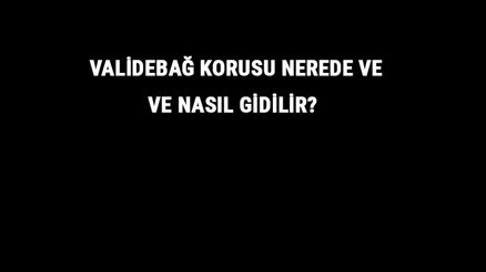 Validebağ Korusu Nerede Ve Nasıl Gidilir Validebağ Korusu Tarihi, Giriş Ve Kahvaltı Ücreti Hakkında Bilgi