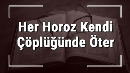 Her Horoz Kendi Çöplüğünde Öter atasözünün anlamı ve örnek cümle içinde kullanımı (TDK)