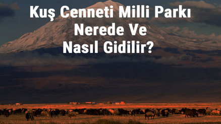 Kuş Cenneti Milli Parkı Nerede Ve Nasıl Gidilir Kuş Cenneti Milli Parkı Konaklama, Kamp, Giriş Ücreti Ve Özellikleri Hakkında Bilgi Kuş Cenneti Milli Parkı Nerede Ve Nasıl Gidilir Kuş Cenneti Milli Parkı Konaklama, Kamp, Giriş Ücreti Ve Özellikleri Hakkında Bilgi