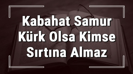 Kabahat Samur Kürk Olsa Kimse Sırtına Almaz atasözünün anlamı ve örnek cümle içinde kullanımı (TDK) Kabahat Samur Kürk Olsa Kimse Sırtına Almaz atasözünün anlamı ve örnek cümle içinde kullanımı (TDK)