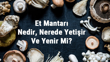 Et Mantarı Nedir, Nerede Yetişir Ve Yenir Mi Et Mantarı Faydaları, Yetiştiriciliği Ve Özellikleri