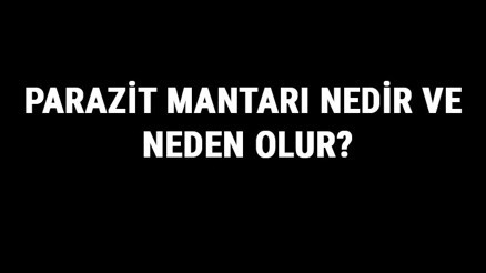 Parazit Mantarı Nedir Ve Neden Olur Parazit Mantarı Nasıl Geçer Ve Ne İyi Gelir