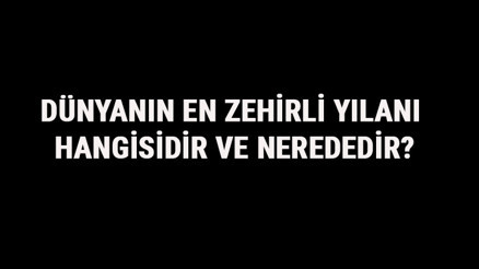 Dünyanın En Zehirli Yılanı Hangisidir Ve Nerededir Dünyanın En Zehirli Yılanları Ve İsimleri