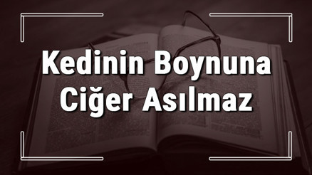 Kedinin Boynuna Ciğer Asılmaz atasözünün anlamı ve örnek cümle içinde kullanımı (TDK)