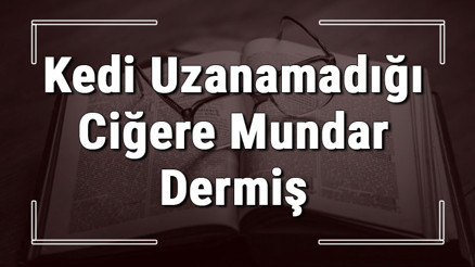 Kedi Uzanamadığı Ciğere Mundar Dermiş atasözünün anlamı ve örnek cümle içinde kullanımı (TDK) Kedi Uzanamadığı Ciğere Mundar Dermiş atasözünün anlamı ve örnek cümle içinde kullanımı (TDK)