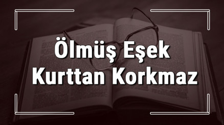Ölmüş Eşek Kurttan Korkmaz atasözünün anlamı ve örnek cümle içinde kullanımı (TDK)