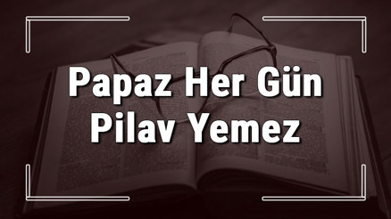 Papaz Her Gün Pilav Yemez atasözünün anlamı ve örnek cümle içinde kullanımı (TDK)