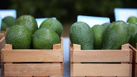 Avokadonun internetten satışı arttı