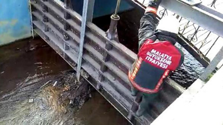 Kanalda mahsur kalan kediyi itfaiye kurtardı