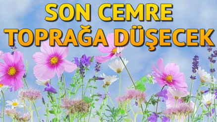 Cemre toprağa ne zaman düşer İşte son cemrenin toprağa düşeceği tarih Cemre toprağa ne zaman düşer İşte son cemrenin toprağa düşeceği tarih