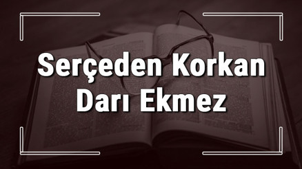 Serçeden Korkan Darı Ekmez atasözünün anlamı ve örnek cümle içinde kullanımı (TDK)