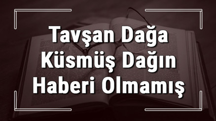 Tavşan Dağa Küsmüş Dağın Haberi Olmamış atasözünün anlamı ve örnek cümle içinde kullanımı (TDK) Tavşan Dağa Küsmüş Dağın Haberi Olmamış atasözünün anlamı ve örnek cümle içinde kullanımı (TDK)