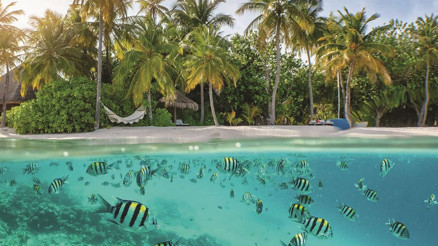 Dertlerden uzak, mavi-yeşil bir cennet Dertlerden uzak, mavi-yeşil bir cennet