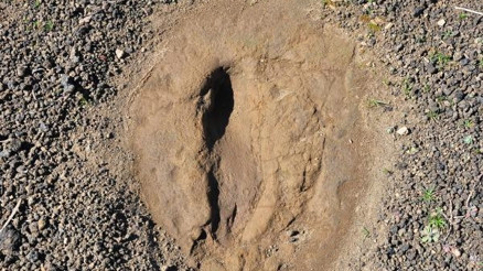 Kula-Salihli UNESCO Global Jeoparkındaki ayak izleri 5 bin yıllık çıktı