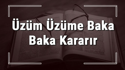 Üzüm Üzüme Baka Baka Kararır atasözünün anlamı ve örnek cümle içinde kullanımı (TDK) Üzüm Üzüme Baka Baka Kararır atasözünün anlamı ve örnek cümle içinde kullanımı (TDK)