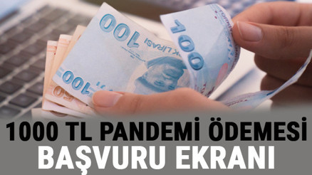 1000 TL pandemi ödemesi başvuru ve sonuç sorgulama ekranı.. Sosyal yardım başvurusu T.C kimlik no ile internetten yapılır mı İşte detaylar