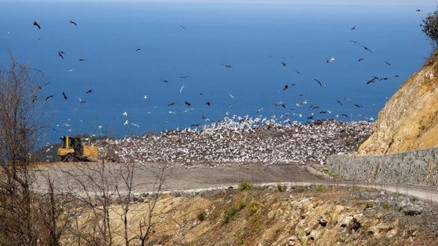 Doluluk seviyesine ulaşan çöp tesisinde ‘patlama ve sızıntı’ tedirginliği Doluluk seviyesine ulaşan çöp tesisinde ‘patlama ve sızıntı’ tedirginliği