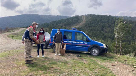 Hatayda tedavisi tamamlanan kızıl şahin doğaya salındı