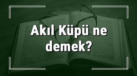Akıl Küpü ne demek Akıl Küpü deyiminin anlamı ve cümle içinde örnek kullanımı (TDK)